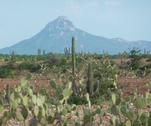 La Teta Hill - Alta Guajira. Source: Panoramio.com By: Mario Moreno